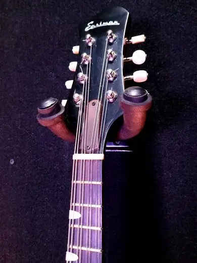 Eastman Guitars - ER-M 2